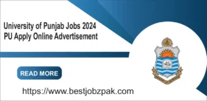 University of Punjab Jobs 2024 PU Apply Online Advertisement