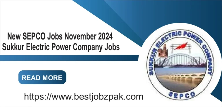 New SEPCO Jobs November 2024 – Sukkur Electric Power Company Jobs