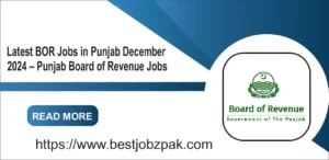 Latest BOR Jobs in Punjab December 2024 – Punjab Board of Revenue Jobs